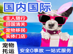 长白山航空快运国际宠物托运 【国